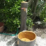 Le Margherite Appartement Montefalcone Appennino