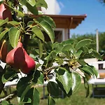 Le Margherite Appartement *