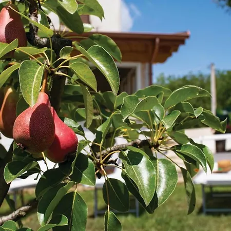 Le Margherite Appartamento *